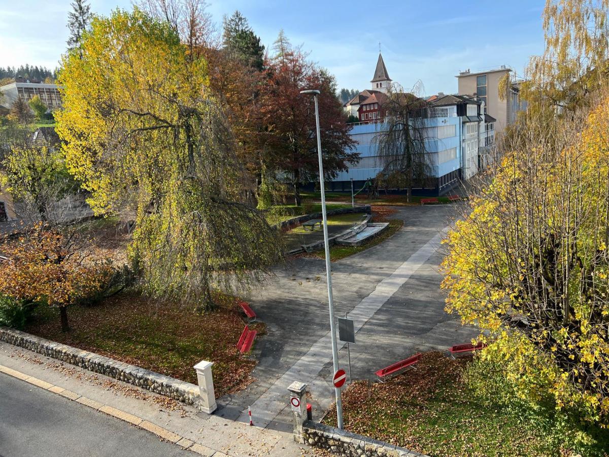 Le Locle : Bel Appartement Chaleureux Exterior photo